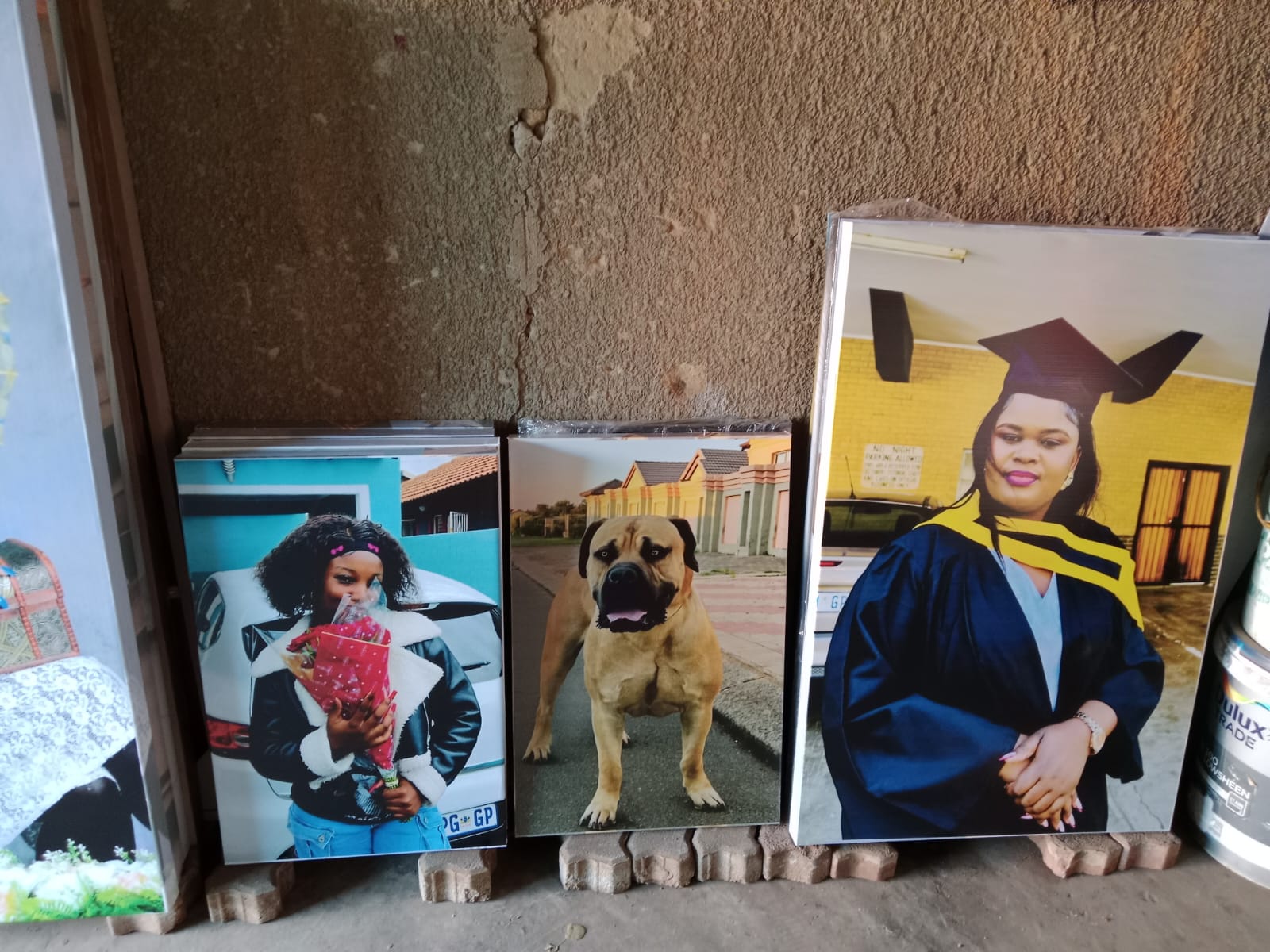 Graduation and pet canvas prints
